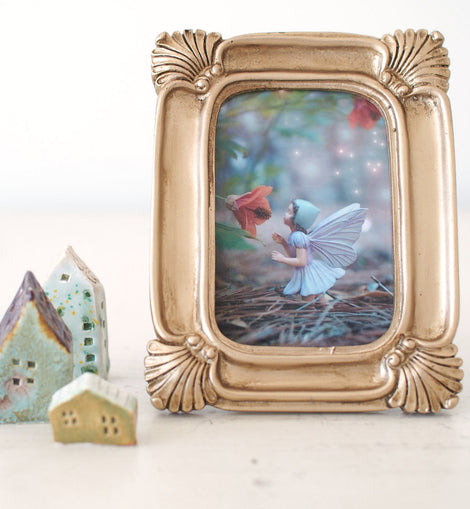 Flower Fairy Photograph Nursery Decoration